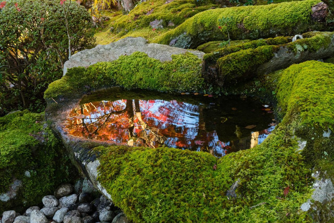 Slow House Kyoto Exteriör bild